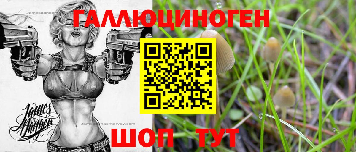Каменск-Уральский  Псилоцибиновые грибы MAGIC MUSHROOMS  Вход с VPN 